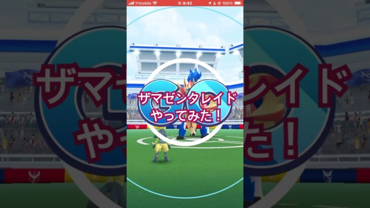 ザマゼンタレイドやってみた！ #ポケモンgo #ポケモン #pokemongo #ザマゼンタ