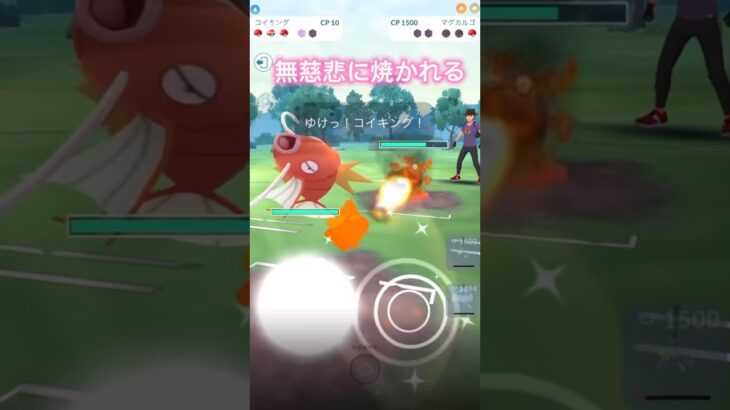 コイキングの丸焼き。ポケモンGOスーパーリーグ#ポケモンgo #ポケモンgoバトルリーグ #pokemongo #pokemon #gbl #superleague #superleague