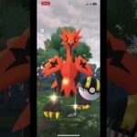 毎度恒例のサンダーGETチャレンジ👏 #ポケモン #shorts #ポケモンgo