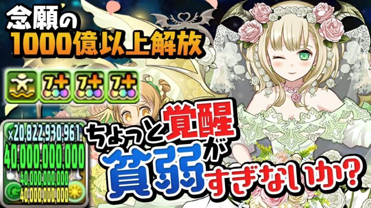 花嫁フェノン強化で木属性にも1200億上限解放が実装！しかし…【パズドラ】