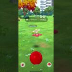 ポケモンGO フラべべ（あか）　色違い