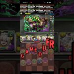 下手すぎて上手い【パズドラ】