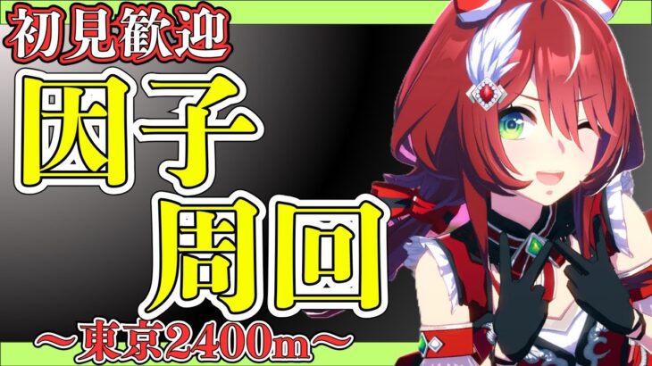 【ウマ娘】因子周回！6月東京2400mチャンミも勝つんだぁぁぁ！