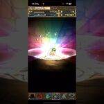 最後の最後に…【パズドラ】