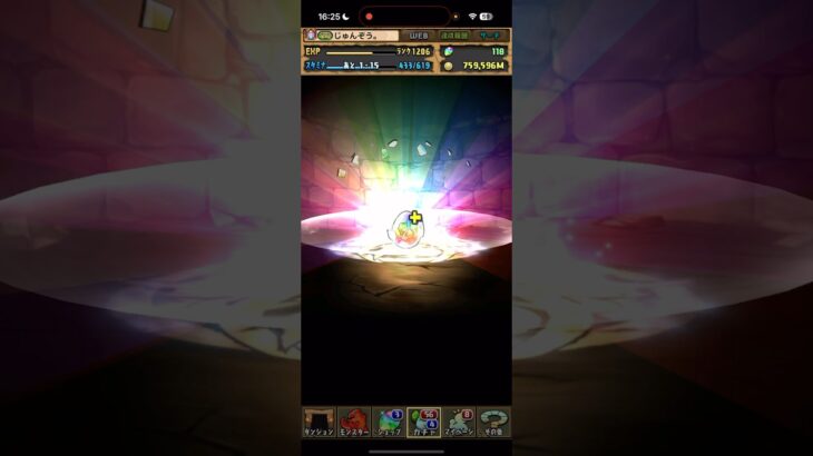 最後の最後に…【パズドラ】