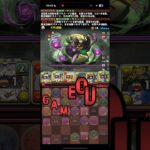 小宮になってしまった実況者【パズドラ】