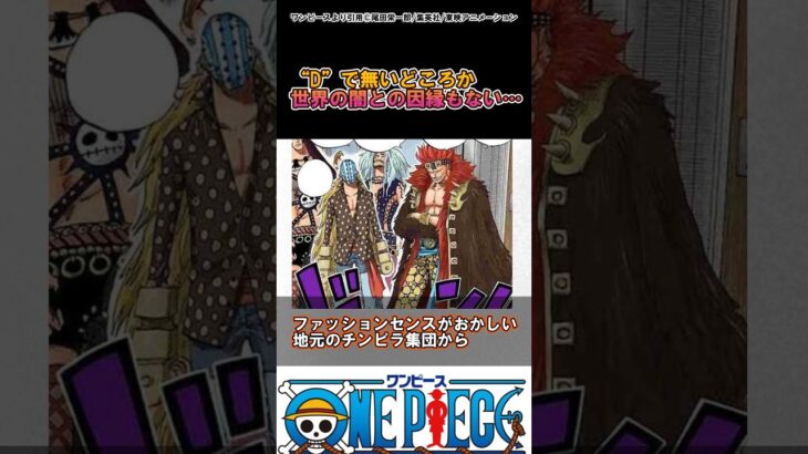 【ワンピース】Dとは全く関係ないのにここまで来たキッドさん#ワンピース