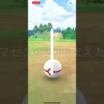 ポケモンgo ザマゼンタ　色違い 100！！！　　#pokemon #ポケモン #pokemongo #shiny #グローバル