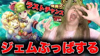 【ドラクエウォーク】風乗りフウラ装備ガチャ！無課金ギャル勇者がいく！