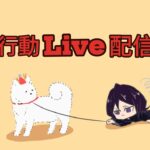 【荒野行動】初見さん大歓迎！✨激戦ソロクインでまったりクリップ撮り！✨🔥#375