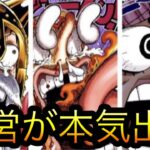 遂に運営が本気出す！￼ ［OPTC］［トレクル］［ONE PIECE　Treasure　Cruise］［원피스 트레져 크루즈］［ワンピース］