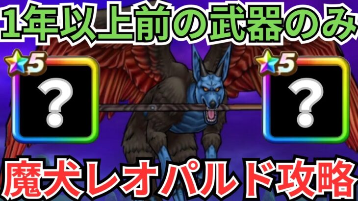 【ドラクエウォーク】1年以上前の武器で魔犬レオパルドの攻略をしてみた！