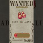 One Piece Name the Devil Fruit  #onepiece #luffy #quizchallenge