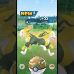 When I Got New Boltund Evolution in Pokemon GO