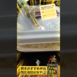 【Pokémon GOポケポケ】熊本おすすめ弁当屋キッチンはなや「カキフライ弁当」feat.介護職夜勤明けおすすめアイス「スーパーカップ・チョコクッキー味」with保護猫あまね＆チャッピー#熊本グルメ