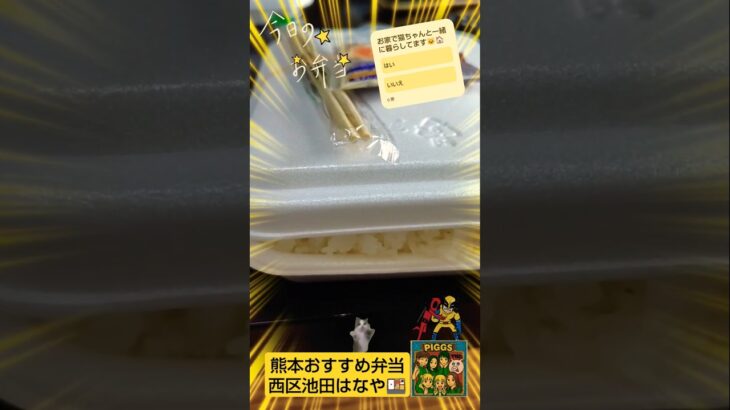 【Pokémon GOポケポケ】熊本おすすめ弁当屋キッチンはなや「カキフライ弁当」feat.介護職夜勤明けおすすめアイス「スーパーカップ・チョコクッキー味」with保護猫あまね＆チャッピー#熊本グルメ