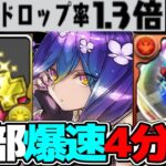 【人権確定】周回はもう全部バイオレットでいいんじゃない？【パズドラ 限界突破コロシアム】