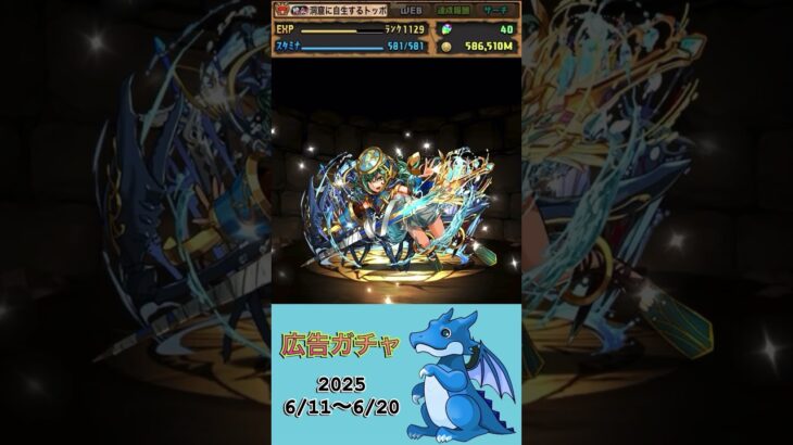 [パズドラ]  広告ガチャ　2025/6/11〜6/20