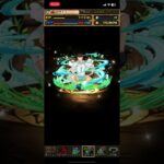 パズドラ　ハイキュー!!5連