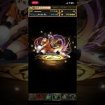 パズドラ　ハイキュー!!5連