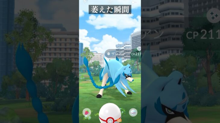 萎えた瞬間…#ポケモンgo