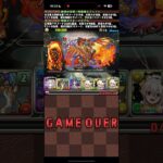 どんな残り方だよ【パズドラ】