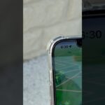 【ドラクエウォーク】24時間ウォーク、ついに海 #ドラクエウォーク #dqw