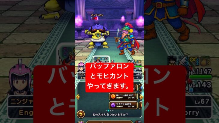 バッファロンとモヒカントのほこらをやってきます。【ドラクエウォーク】