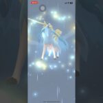 ザシアンの成果と剣の王#ポケモン #ポケモンgo#ザシアン色違い #pokemon #pokemongo