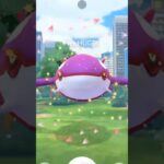 ✨XXL SHINY Kyogre CAUGHT In Pokemon Go!!!✨ #shorts #pokemon
