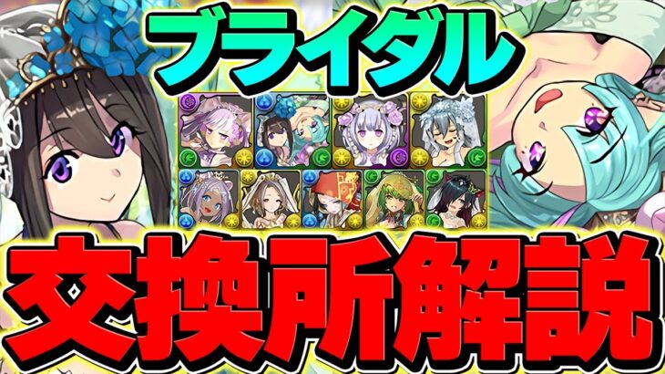 ブライダル全キャラ交換所解説！Sランクキャラを逃すな！知らないと損！！【パズドラ】