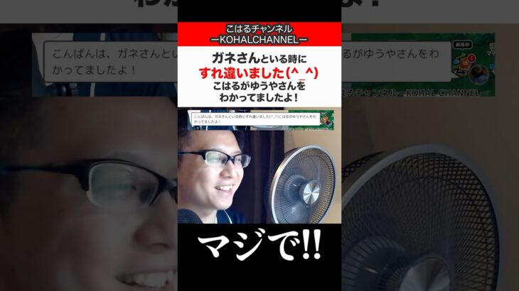 【奇跡のすれ違い】こはるチャンネルさんと現地遭遇！？ドラクエウォーキング北海道編【ドラクエウォーク】