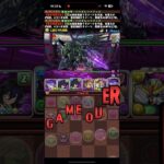 さすがに蟹だなこれ【パズドラ】