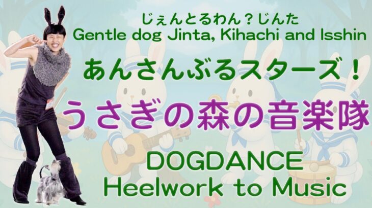 Dogdance / K9freestyle / HTM　「うさぎの森の音楽会（Concert in the Rabbit Forest）」　あんさんぶるスターズ！(Ensemble Stars!)