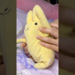 【あんスタMusic】歓迎☆トゥ・ウィック雑技団 SPP #大彩 #ぬいぐるみ #あんさんぶるスターズ #あんスタ #switch