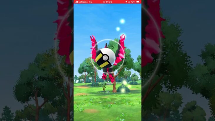 ゲットなるか、#ポケモンGO#ガラル三鳥