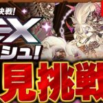 6月のEXチャレンジに初見で挑戦！！【パズドラ実況】