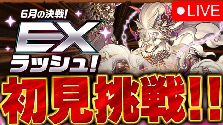 6月のEXチャレンジに初見で挑戦！！【パズドラ実況】