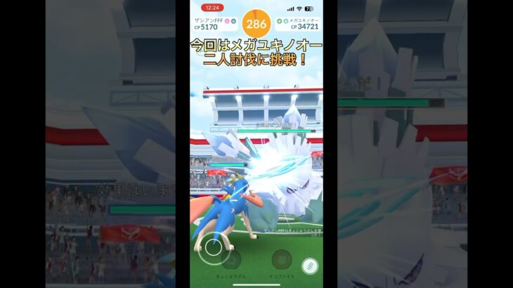 メガユキノオー二人討伐⁉︎中級者part193【ポケモンGO】#ポケモンgo #ポケモン #pokemongo #pokemon #ユキノオー　#shorts