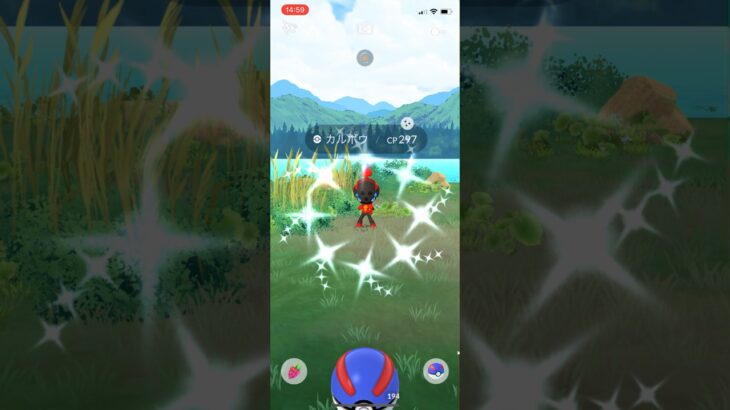 ポケモンGO色違い特別背景カルボウ初GET！！#ポケモン #ポケモンgo #pokemongo