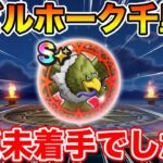 【ドラクエウォーク】エビルホーク千里だけ忘れていたので終わらせます!!【DQW】