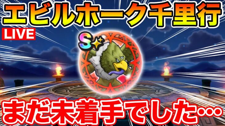 【ドラクエウォーク】エビルホーク千里だけ忘れていたので終わらせます!!【DQW】