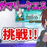 【FGO】急に来たオルガマリークエ４を攻略しにいく【Fate/Grand Order】