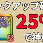 【ドラクエウォーク】ピックアップ確定ふくびきで、ついに引けました！？？？？？【神鳥レティス装備ふくびき】#05