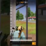 【荒野行動】真剣勝負中にBGMを付けてみた。ワイルドシリーズ。