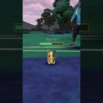 【ポケモンGOバトル#733】これで勝利記録伸ばしました✨さあ今すぐ上の🐸マークをタップして👍&チャンネル登録しよう！！ココチAチャンネルオリジナルポケモンGOバトル動画がいつでもどこでも見放題だ