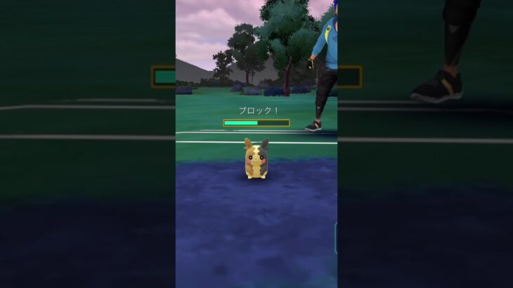 【ポケモンGOバトル#733】これで勝利記録伸ばしました✨さあ今すぐ上の🐸マークをタップして👍&チャンネル登録しよう！！ココチAチャンネルオリジナルポケモンGOバトル動画がいつでもどこでも見放題だ