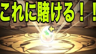 本当に最後の『カシアン一点狙いガチャ』【パズドラ】