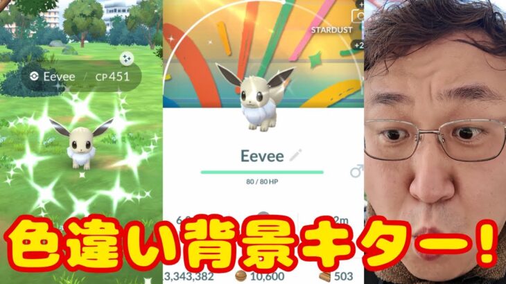 色違い背景キター！イーブイコミュディ！やってきました！【ポケモンGO】
