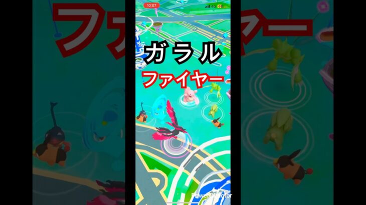 ついに😳🔥#ポケモンgo #pokemongo #pokemon #ポケモン #gaming #shortvideo #かさじぞう #ゲーム